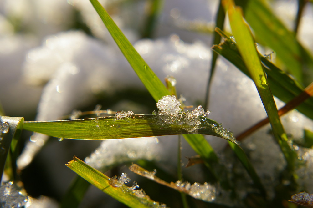 der winter läßt grüßen