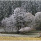 Der Winter lässt grüßen (4)