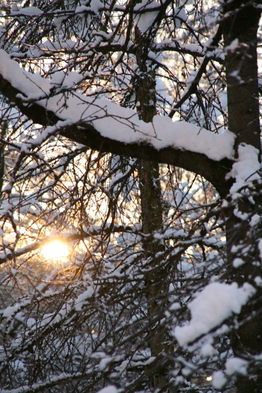 Der Winter lässt grüßen!