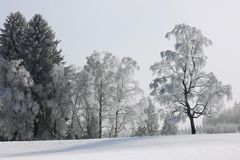 .. der Winter läßt nicht locker