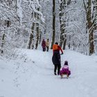 Der Winter lässt weiter auf sich warten...