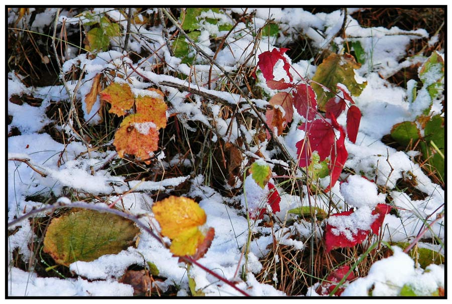 Der Winter legt sich auf den Herbst