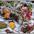 Der Winter legt sich auf den Herbst