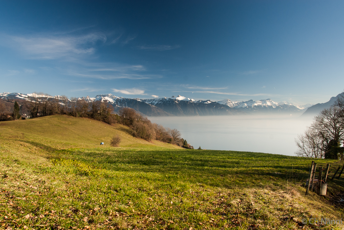 Der Winter liegt in der Ferne