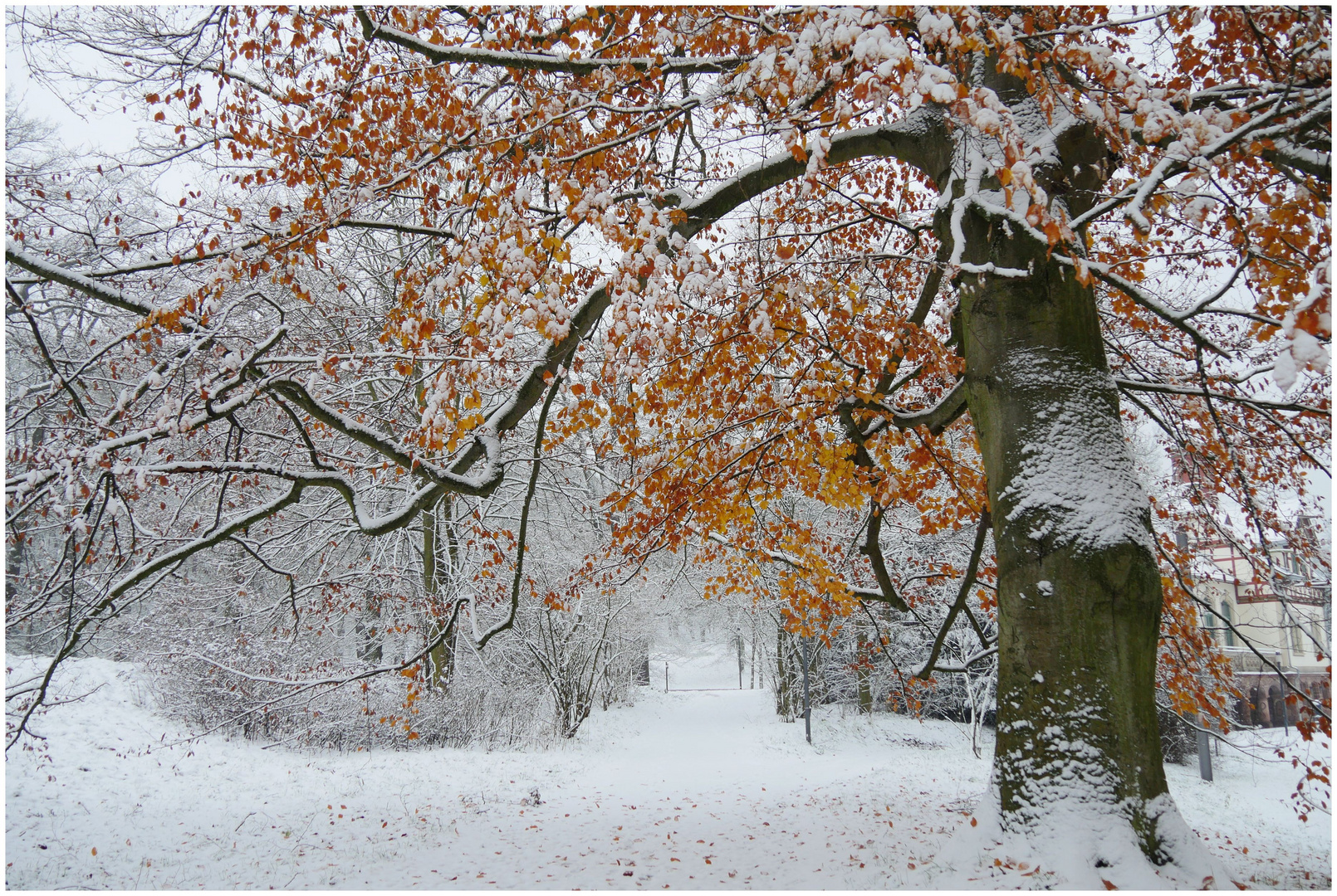 Der Winter löst den Herbst ab