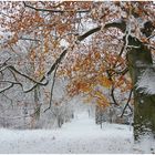 Der Winter löst den Herbst ab