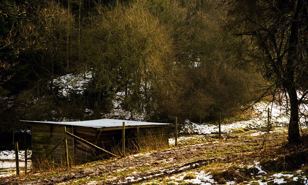 Der Winter macht eine Pause