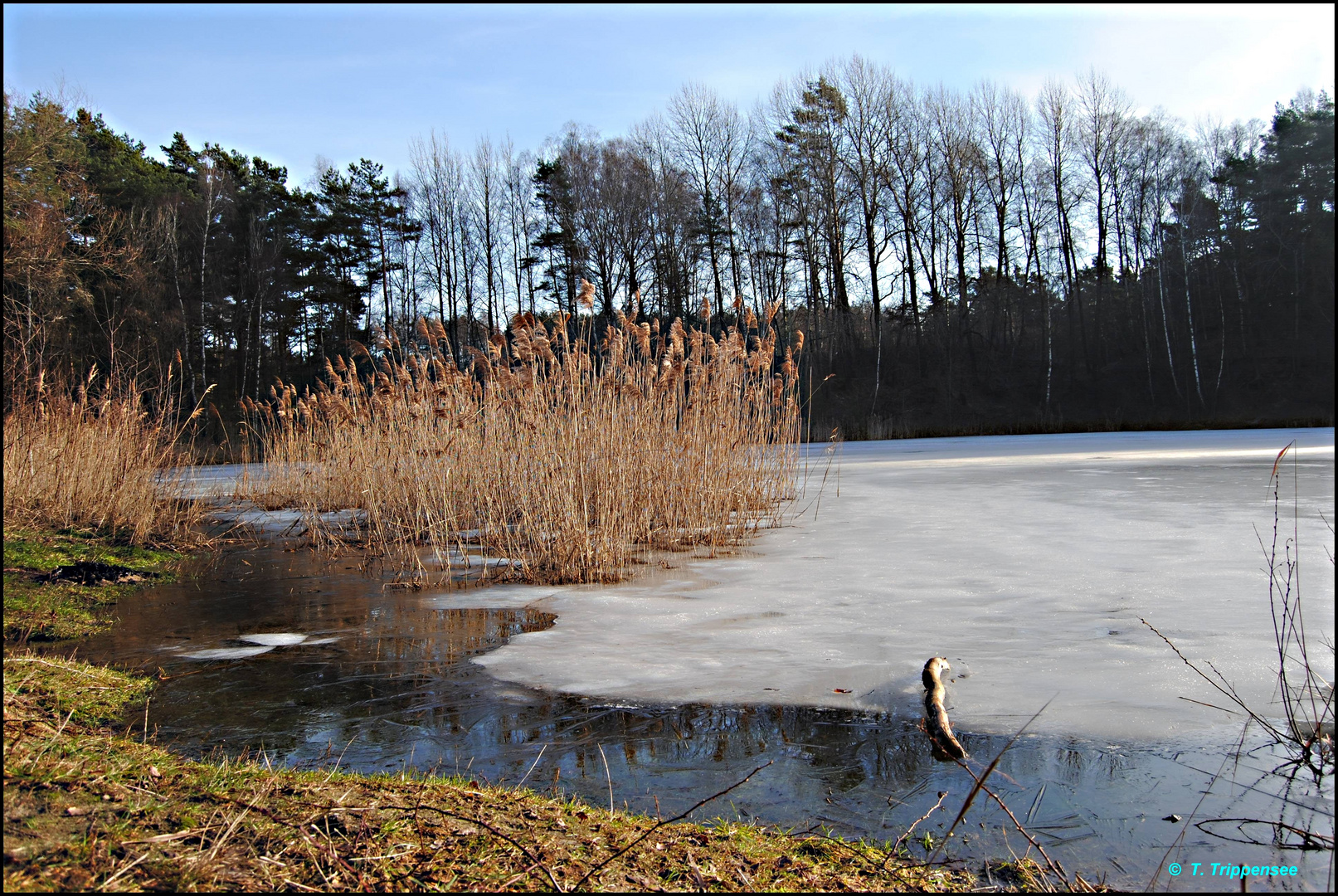 Der Winter macht mal Pause !