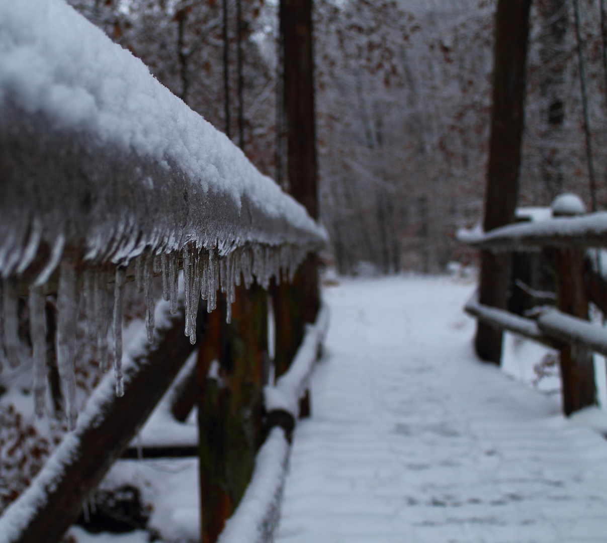 Der Winter macht sich bereit