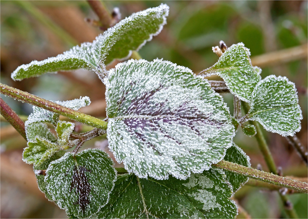 Der Winter meldet sich