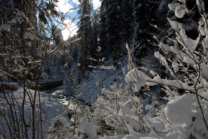 Der Winter meldet sich zurück