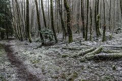 Der Winter meldet sich zurück