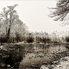 Der Winter meldet sich zurück.