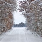 Der Winter meldet sich zurück ...