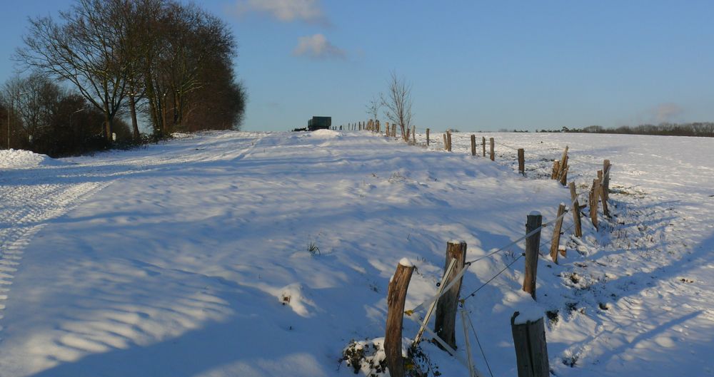 Der Winter meldet sich zurück - Auch vom Zaun hat er sich nicht aufhalten lassen