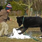 Der Winter muß weg!