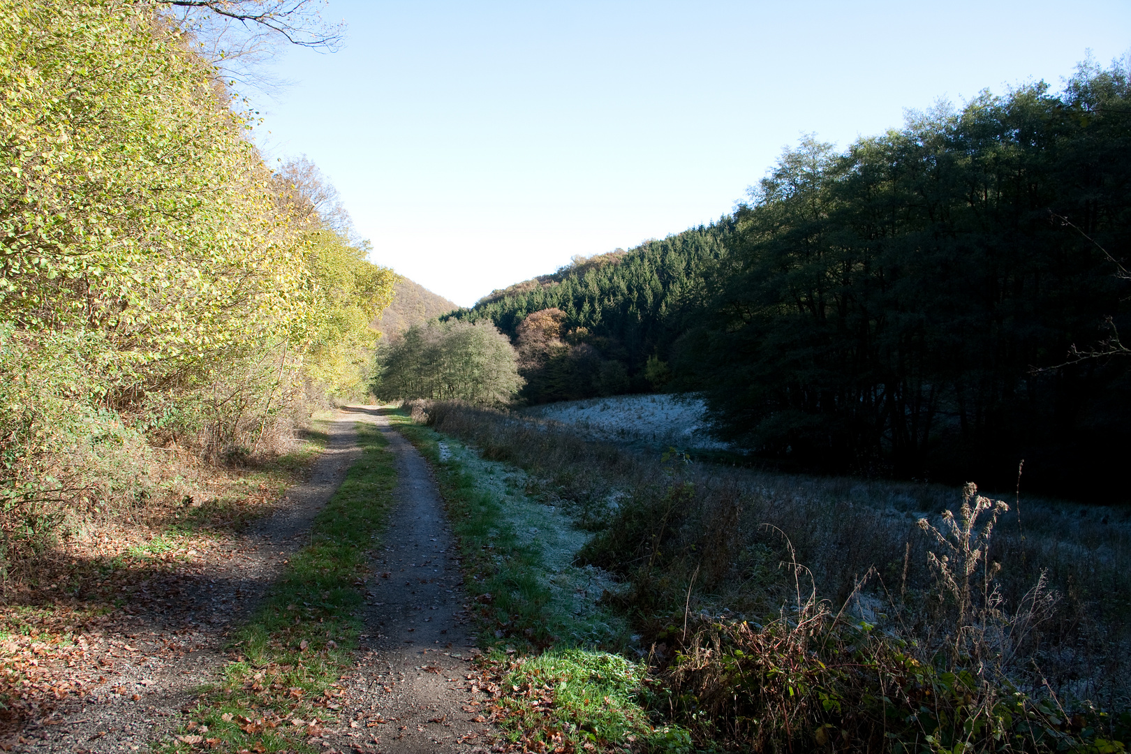 Der Winter naht auch im Nationalpark Eifel.