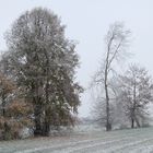 Der Winter naht