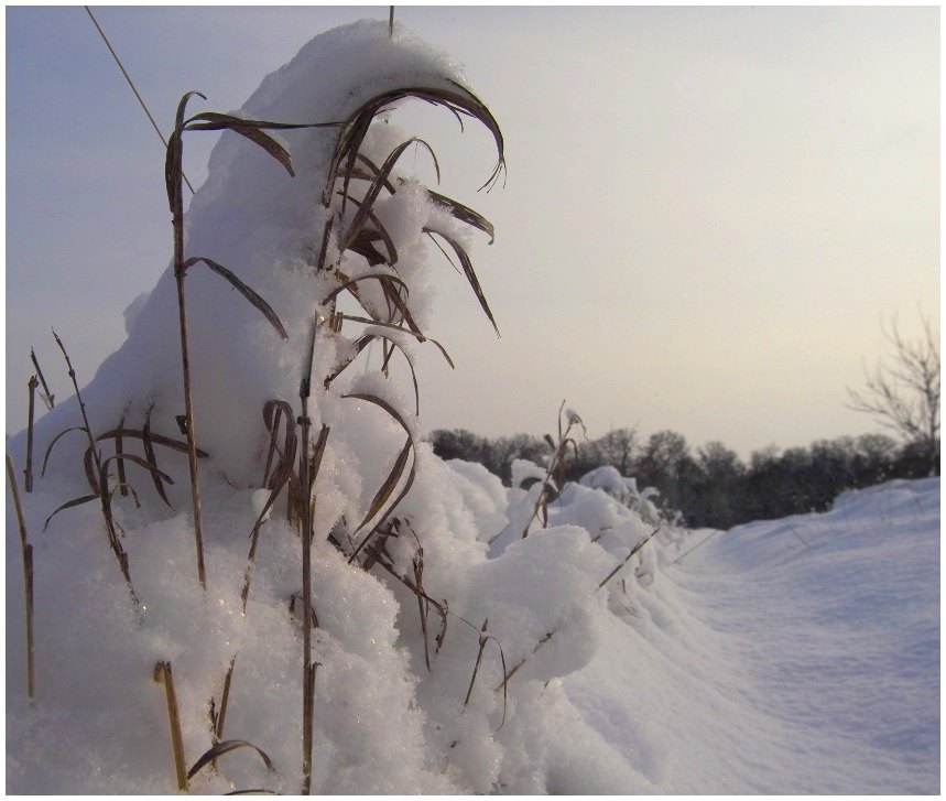 der winter nimmt keine ende ?