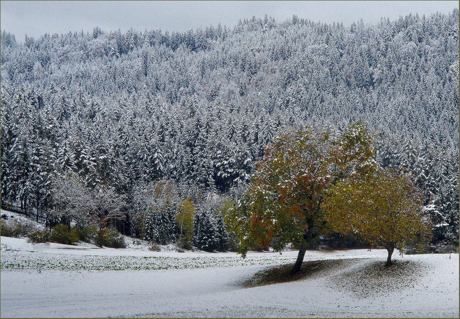 Der Winter rückt dem Herbst zu Leibe...