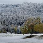 Der Winter rückt dem Herbst zu Leibe...