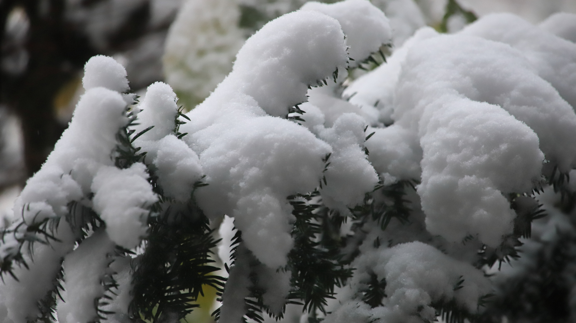 Der Winter schaut vorbei