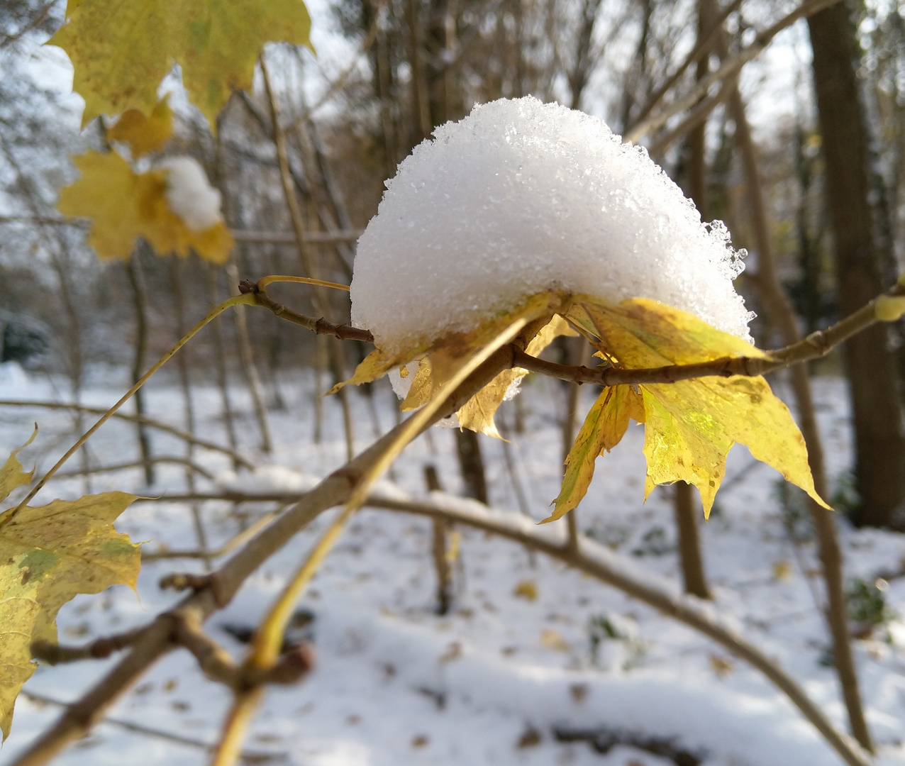 Der Winter schaut vorbei