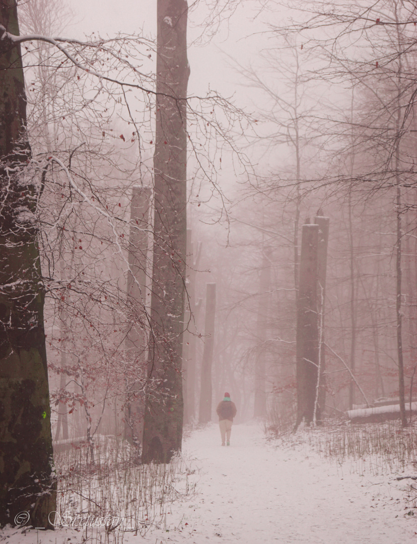 Der Winter Spaziergang