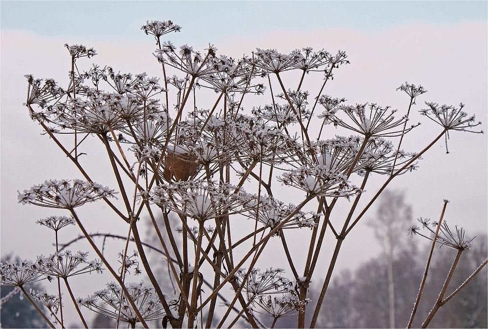 Der Winter spielt seine Reize aus