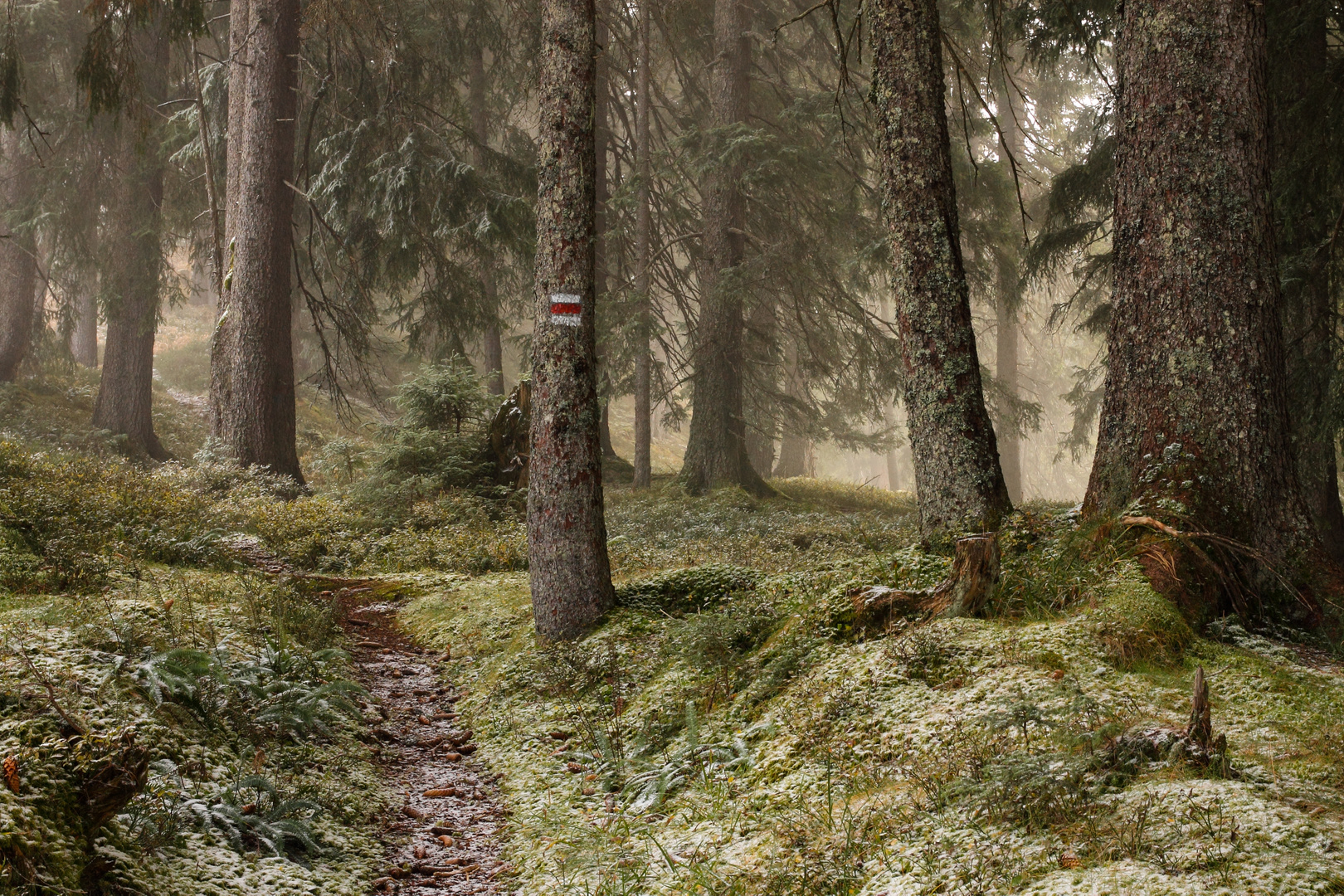 Der Winter steht vor der Tür