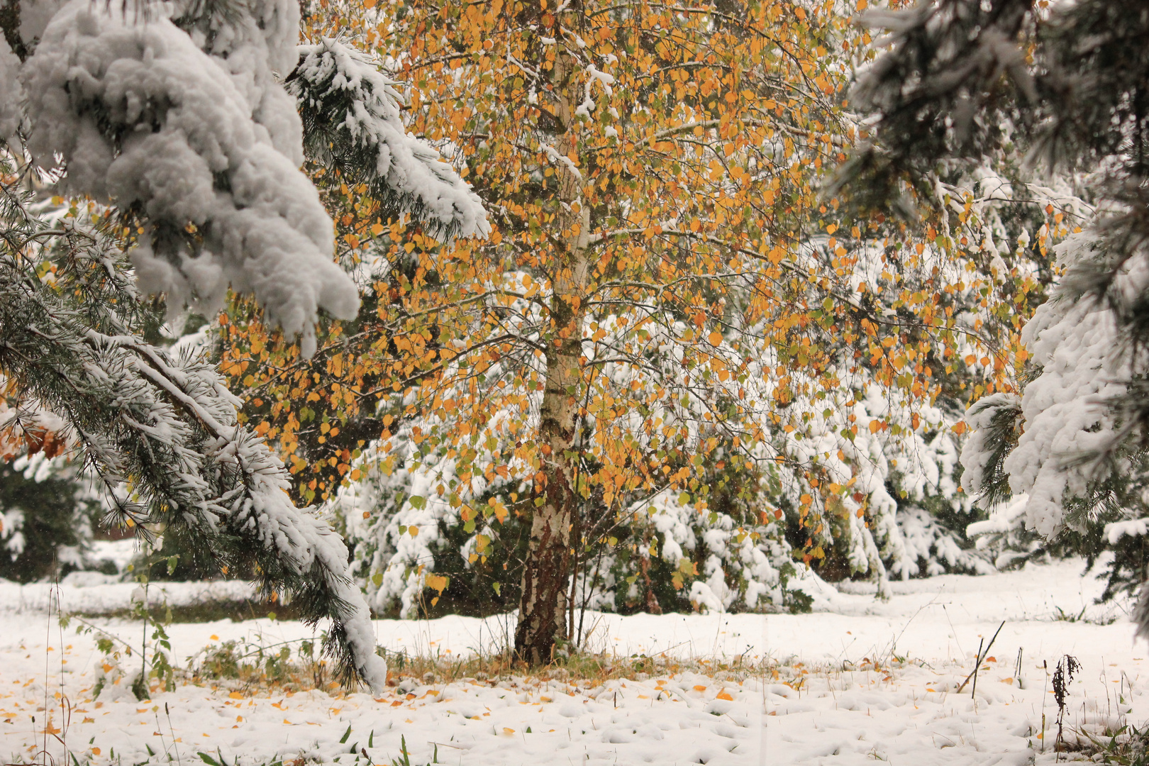 Der Winter steht vor der Tür.