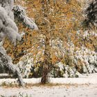 Der Winter steht vor der Tür.