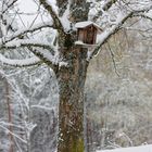 Der Winter steht vor der Tür