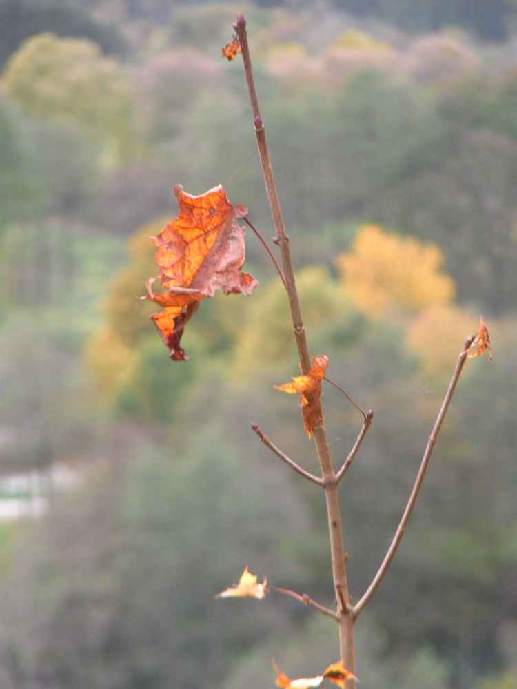 Der Winter steht wohl vor der Tür...