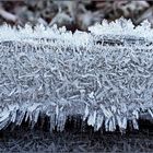 Der Winter streckt schon mal die Fühler aus...