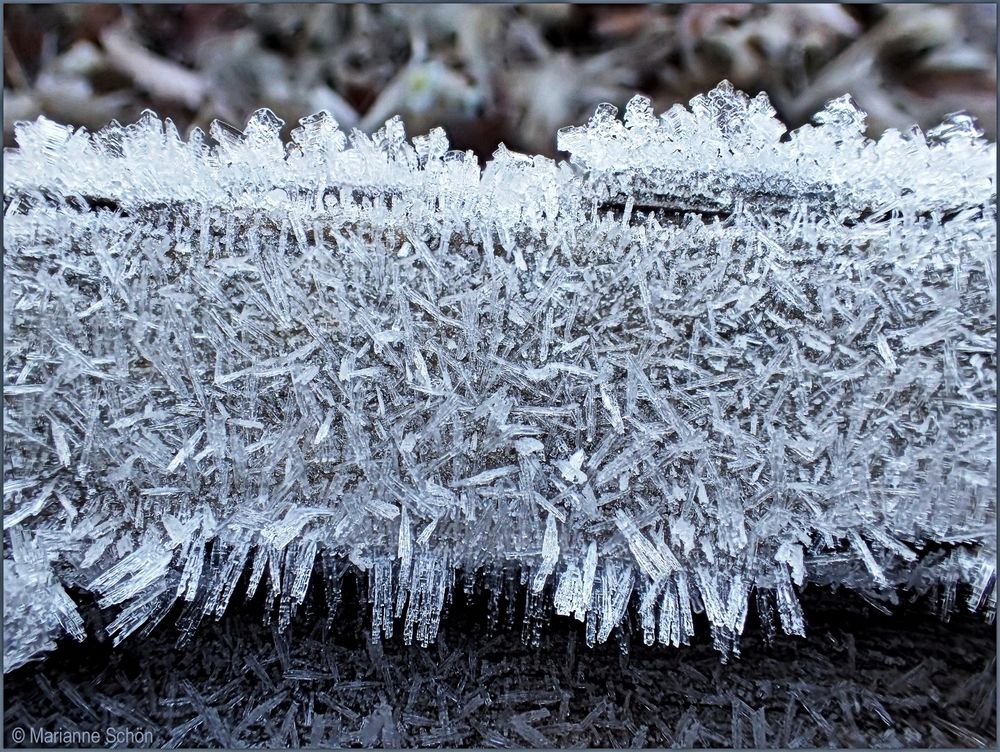 Der Winter streckt schon mal die Fühler aus...