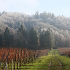 Der Winter streckt seine Fühler aus