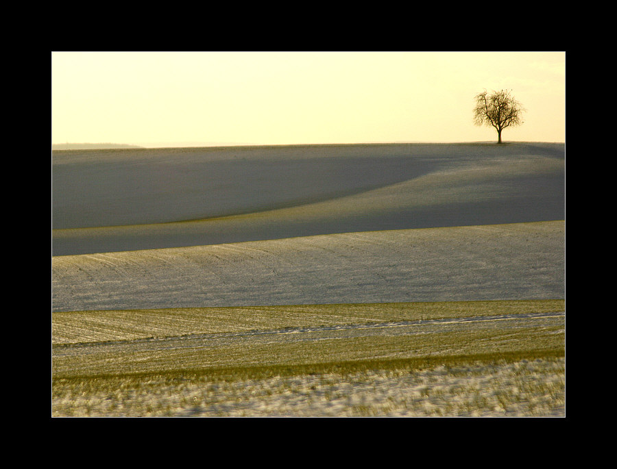 Der Winter streift durchs Land