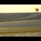 Der Winter streift durchs Land