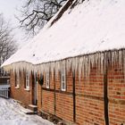 Der Winter treibt es auf die Spitze