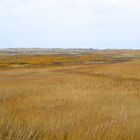 Der Winter tut dem Strand nichts zu Leide 1