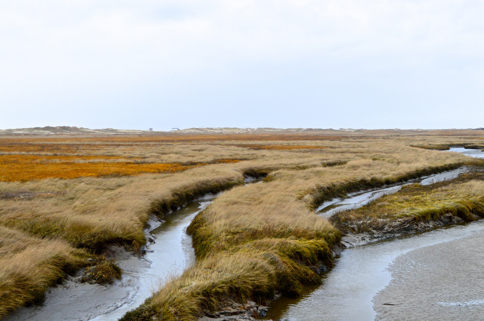 Der Winter tut dem Strand nichts zu Leide 3