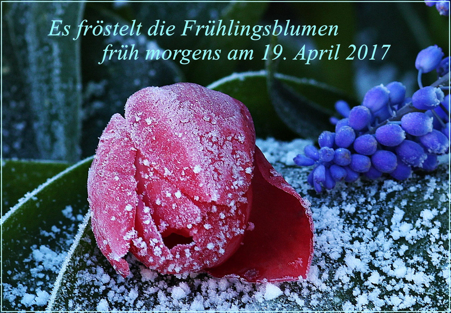 Der Winter überrascht uns auch Mitte April noch einmal seinen kalten Temperaturen am frühen Morgen