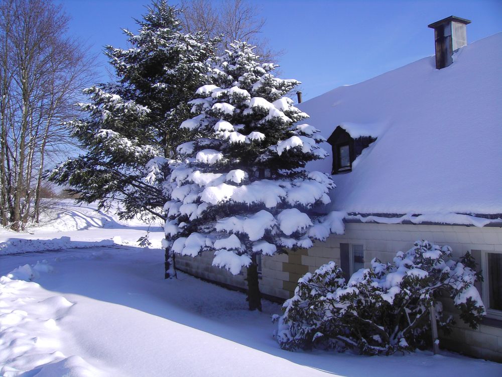 Der Winter und das alte Haus.