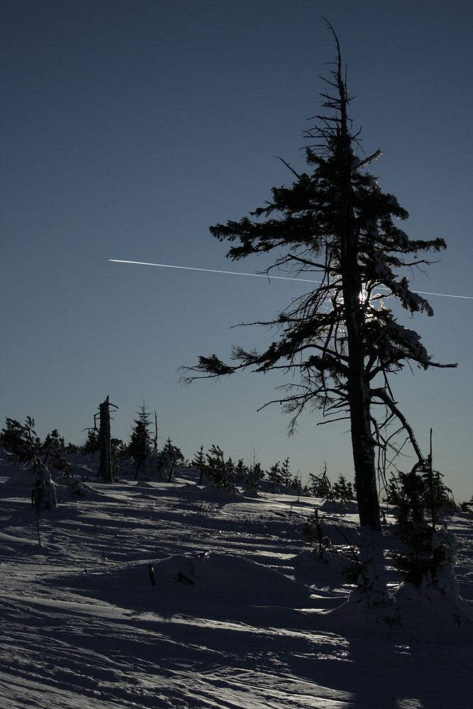 Der Winter und das Licht