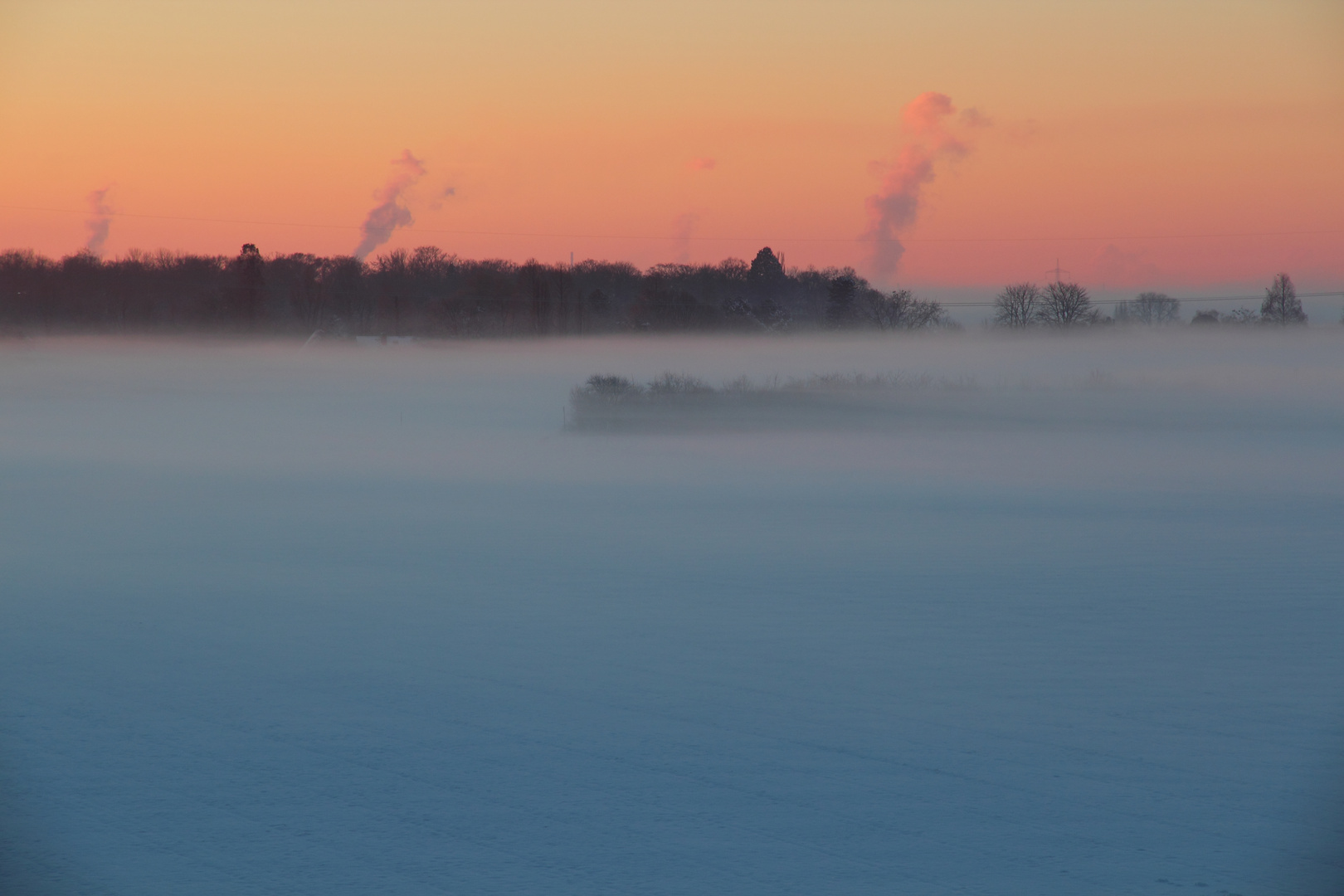 Der Winter und der Bodennebel ... (1)