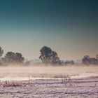 Der Winter und die Elbe 2