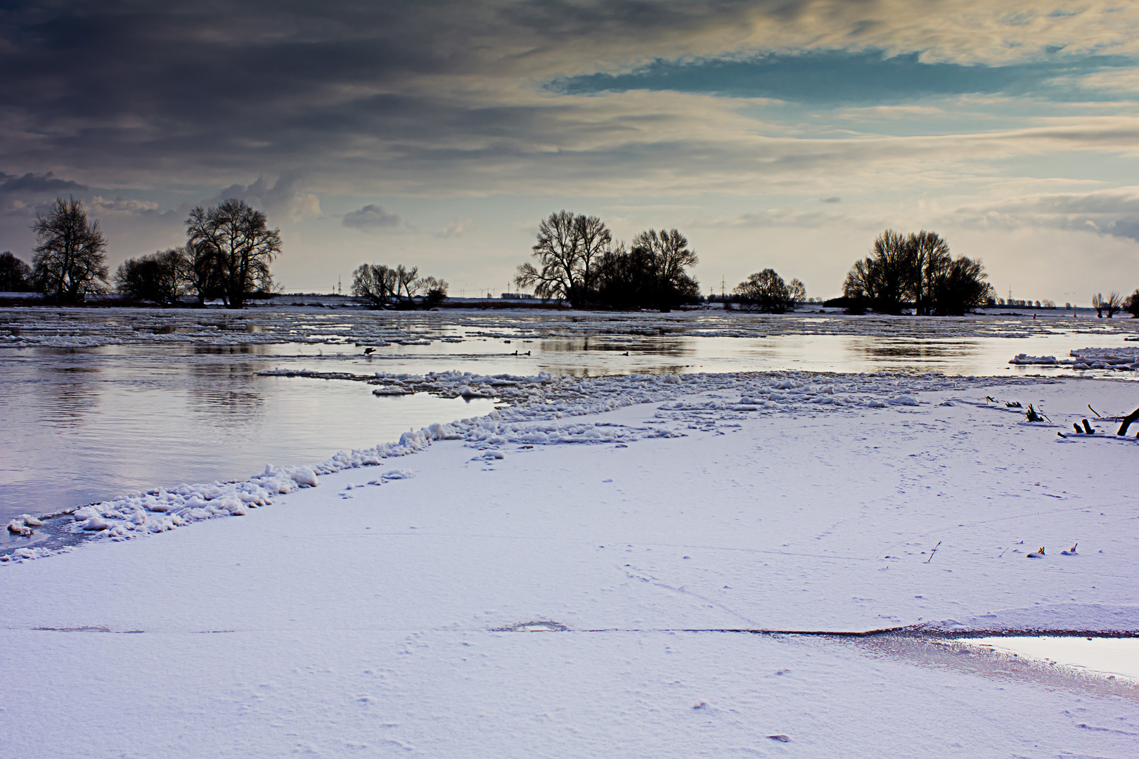 Der Winter und die Elbe