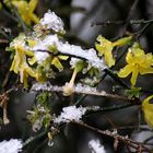 Der Winter verjagt den Frühling