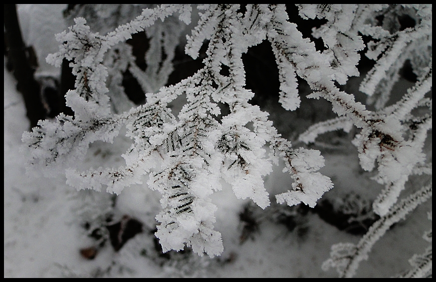 Der Winter von der schönen Seite